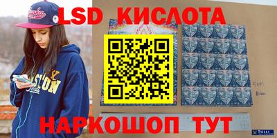 стаф Малгобек